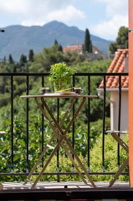 Maison Roof-Top Plage & Village 5 Min A Pied バニュルス・シュル・メール エクステリア 写真